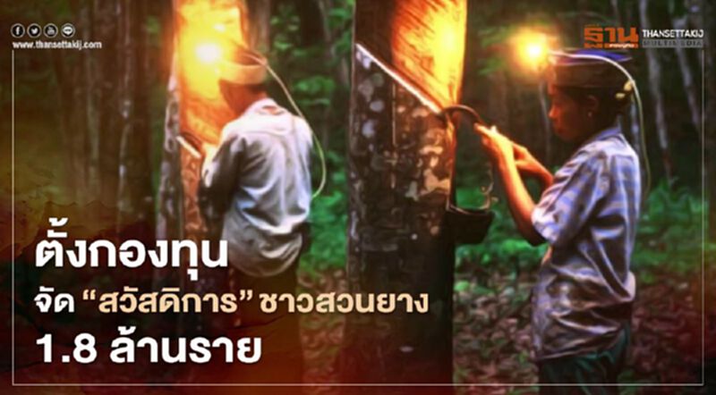 รุกจัดสวัสดิการชาวสวนยาง "กยท."ดึงสมาชิก1.8ล้านรายสมทบ‘กองทุน’ รุกจัดสวัสดิการชาวสวนยาง "กยท."ดึงสมาชิก1.8ล้านรายสมทบ‘กองทุน’