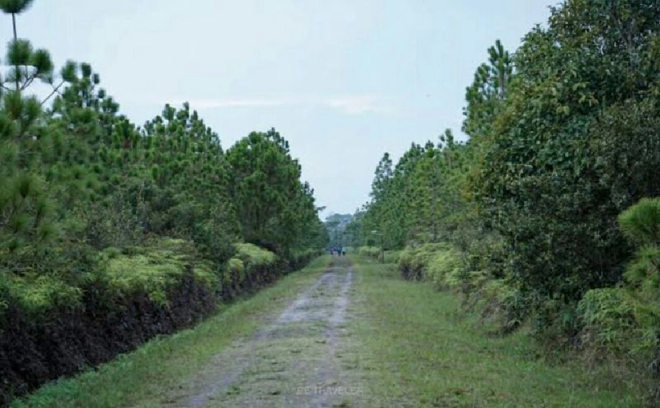 "น้ำหนาว"ท้าให้ลอง"วันเดย์ทริปพิชิตภูกระดึง"