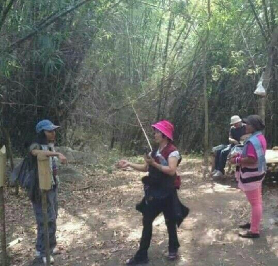 "น้ำหนาว"ท้าให้ลอง"วันเดย์ทริปพิชิตภูกระดึง"