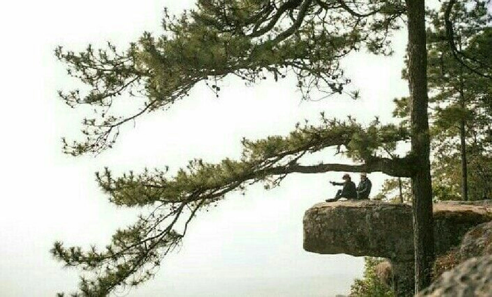 ขอบคุณภาพจากเพจเฟซบุกบ้านไร่แสนสุข