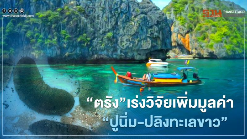 "ตรัง"เร่งเพิ่มมูลค่า"ปูนิ่ม-ปลิงทะเลขาว" บ.ประชารัฐฯดึงม.อ.วิจัยแปรรูปเป็นผลิตภัณฑ์ลุยส่งออก "ตรัง"เร่งเพิ่มมูลค่า"ปูนิ่ม-ปลิงทะเลขาว" บ.ประชารัฐฯดึงม.อ.วิจัยแปรรูปเป็นผลิตภัณฑ์ลุยส่งออก