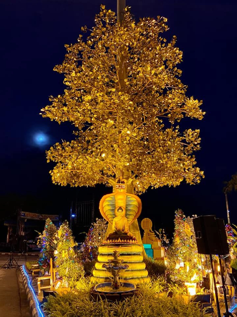 "พุ่มเมือง"มลังเมลืองออกพรรษางาน"ชักพระบ้านดอน"