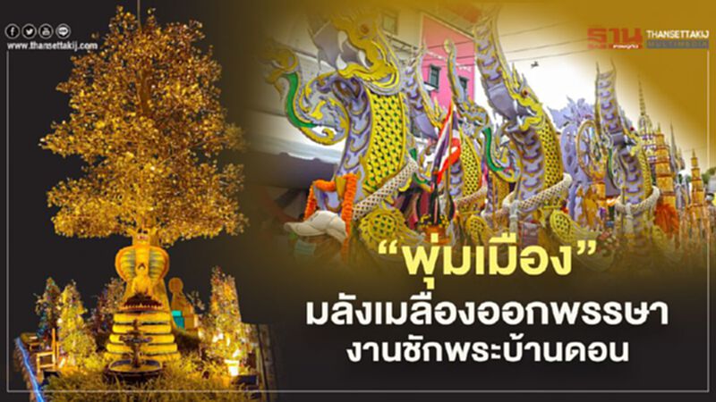 "พุ่มเมือง"มลังเมลืองออกพรรษางาน"ชักพระบ้านดอน" "พุ่มเมือง"มลังเมลืองออกพรรษางาน"ชักพระบ้านดอน"