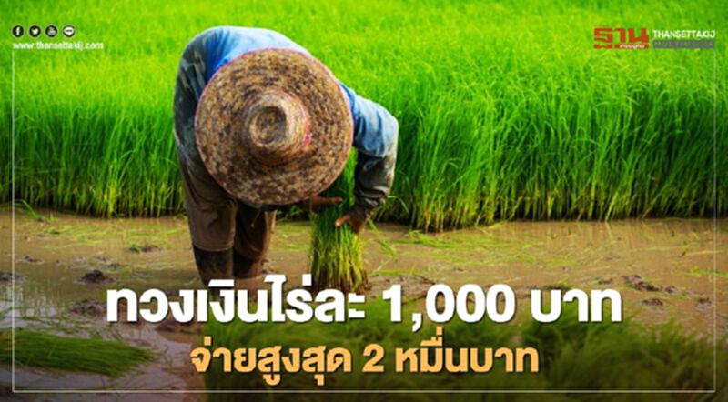 ชาวนา ทวงเงินไร่ละ 1,000 บาทจ่ายสูงสุด 2 หมื่นบาท ชาวนา ทวงเงินไร่ละ 1,000 บาทจ่ายสูงสุด 2 หมื่นบาท