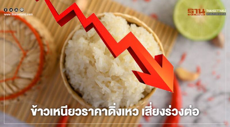 ชาวนาระงม ข้าวเหนียวราคาดิ่งเหว 8,000 บาท/ตัน เสี่ยงร่วงต่อ