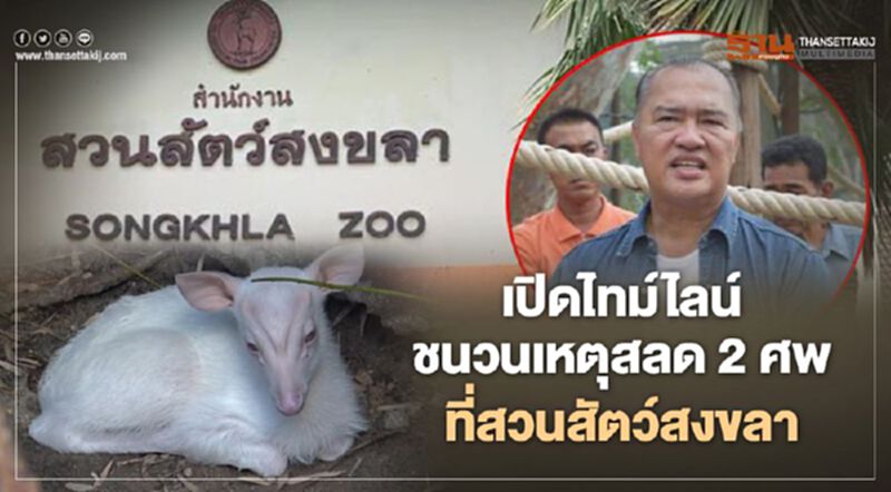 เปิดไทม์ไลน์ละเอียดยิบชนวนเหตุสลด 2 ศพ ที่สวนสัตว์สงขลา เปิดไทม์ไลน์ละเอียดยิบชนวนเหตุสลด 2 ศพ ที่สวนสัตว์สงขลา
