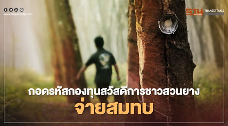 ถอดรหัสกองทุนสวัสดิการเกษตรกรชาวสวนยางแบบสมัครใจจ่ายสมทบ ถอดรหัสกองทุนสวัสดิการเกษตรกรชาวสวนยางแบบสมัครใจจ่ายสมทบ