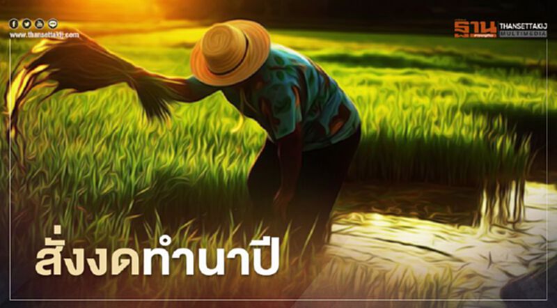 สั่งงดทำนาปี น้ำเขื่อนมีน้อย สั่งงดทำนาปี น้ำเขื่อนมีน้อย