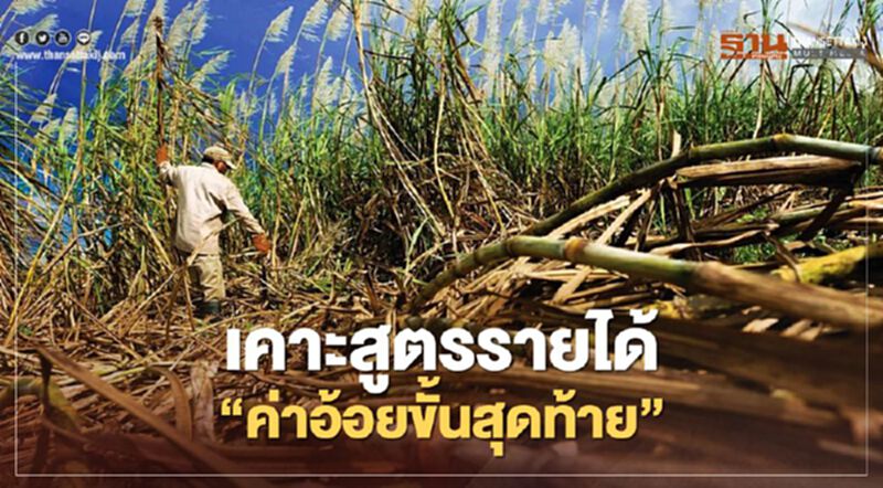 เช็คเงิน "ค่าอ้อยขั้นสุดท้าย" เคาะสูตรคำนวณรายได้แล้ว ที่เดียวจบ เช็คเงิน "ค่าอ้อยขั้นสุดท้าย" เคาะสูตรคำนวณรายได้แล้ว ที่เดียวจบ