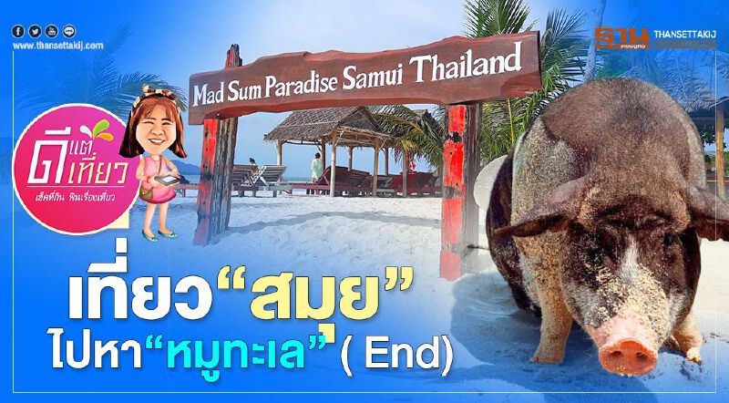 เที่ยว “สมุย” ขึ้น "เกาะมัดสุม" ไปหา หมูทะเล  ( END)