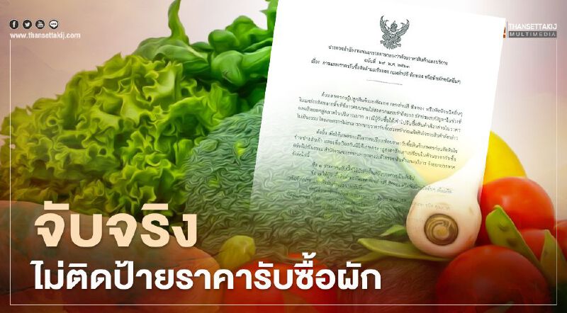 จับจริง ไม่ติดป้ายราคารับซื้อผักจากเกษตรกร จับจริง ไม่ติดป้ายราคารับซื้อผักจากเกษตรกร