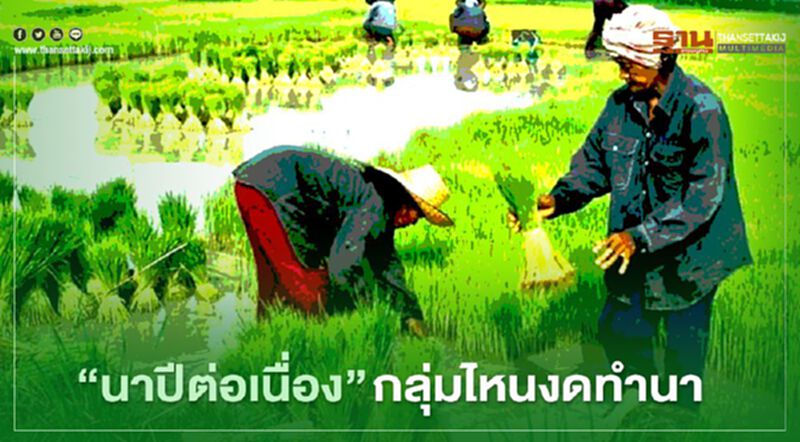 ไขข้อข้องใจ “นาปีต่อเนื่อง” กลุ่มไหน งดทำนา ไขข้อข้องใจ “นาปีต่อเนื่อง” กลุ่มไหน งดทำนา