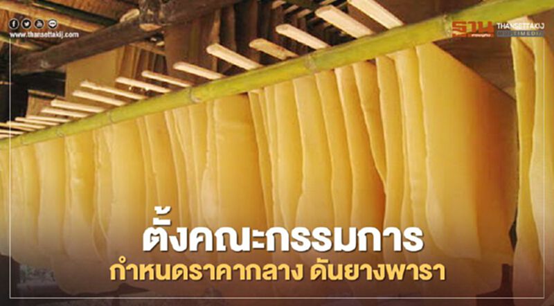 ชงครม.ของบเฟส 2 ลุยตั้งคณะกรรมการกำหนดราคากลาง ดันยางพารา ชงครม.ของบเฟส 2 ลุยตั้งคณะกรรมการกำหนดราคากลาง ดันยางพารา