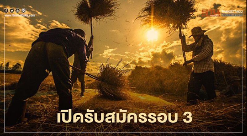 ข่าวดี "1 ตำบล 1 กลุ่มเกษตรกรทฤษฎีใหม่" เปิดรับสมัครรอบ 3 ข่าวดี "1 ตำบล 1 กลุ่มเกษตรกรทฤษฎีใหม่" เปิดรับสมัครรอบ 3