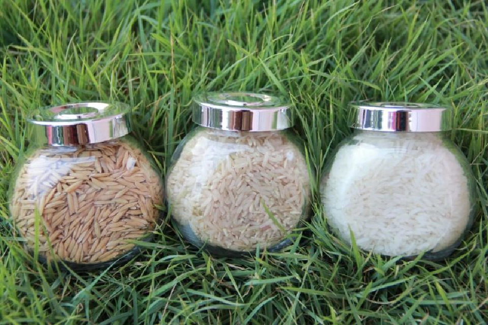 ขึ้นทะเบียน GI  ส้มแม่สิน-ข้าวหอมดินภูเขาไฟบุรีรัมย์