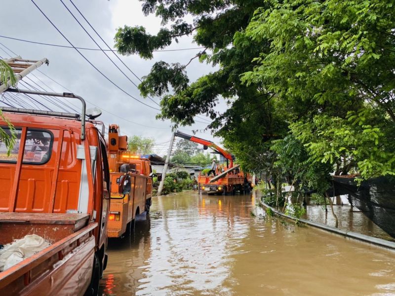 “PEA” ระดมทีมเร่งปรับปรุงระบบจำหน่ายไฟฟ้า “เขาใหญ่” 