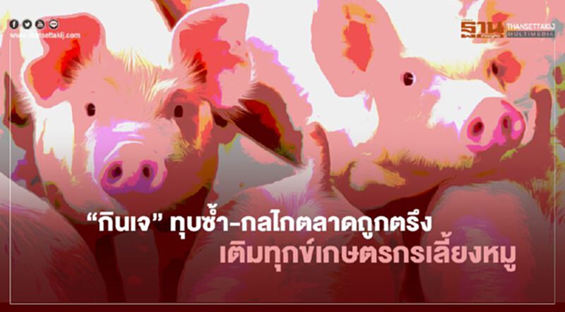 “กินเจ” ทุบซ้ำ-กลไกตลาดถูกตรึง เติมทุกข์เกษตรกรเลี้ยงหมู “กินเจ” ทุบซ้ำ-กลไกตลาดถูกตรึง เติมทุกข์เกษตรกรเลี้ยงหมู