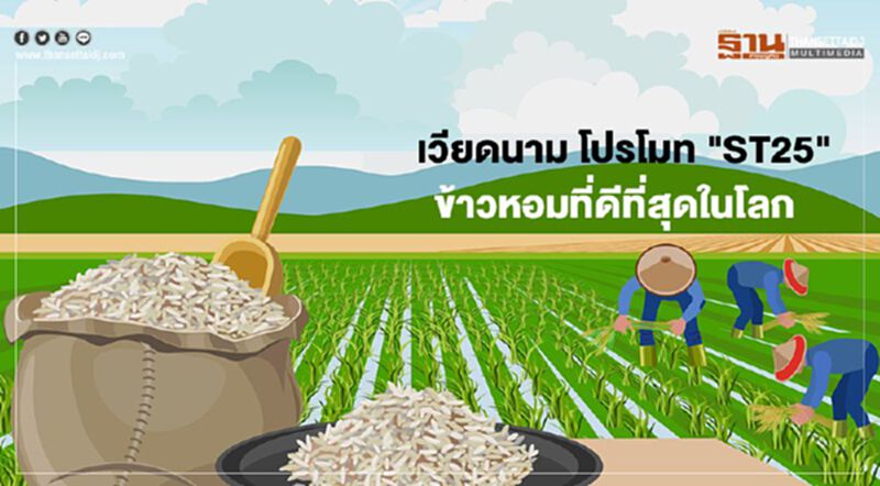 เวียดนาม โปรโมท "ST25" ข้าวหอมที่ดีที่สุดในโลก เวียดนาม โปรโมท "ST25" ข้าวหอมที่ดีที่สุดในโลก