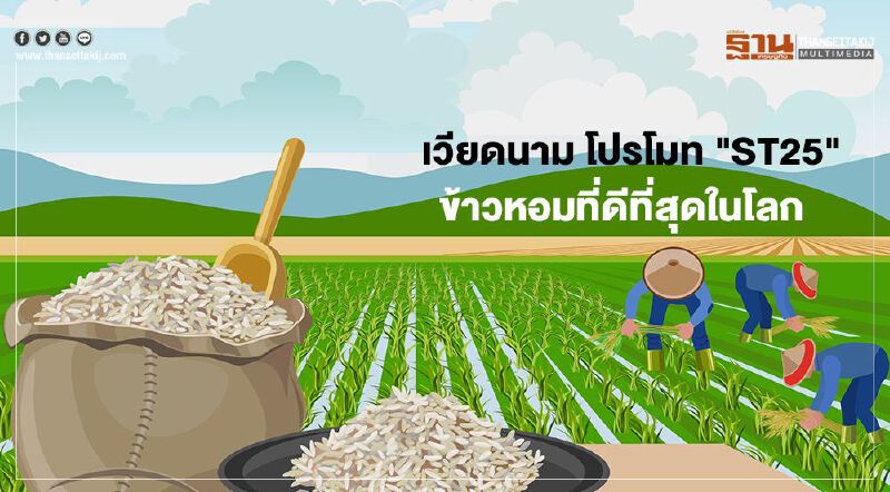 เวียดนาม โปรโมท "ST25" ข้าวหอมที่ดีที่สุดในโลก  