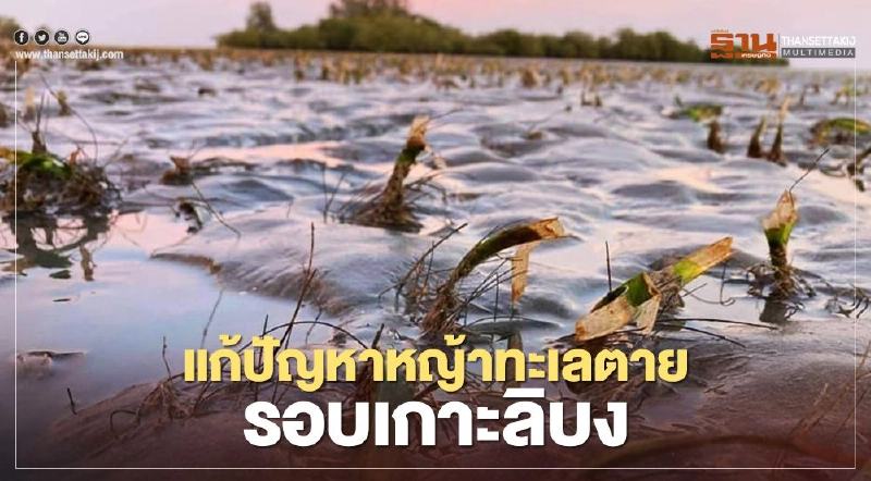 ชาวตรัง เร่งแก้ปัญหาหญ้าทะเลตาย รอบเกาะลิบง ชาวตรัง เร่งแก้ปัญหาหญ้าทะเลตาย รอบเกาะลิบง