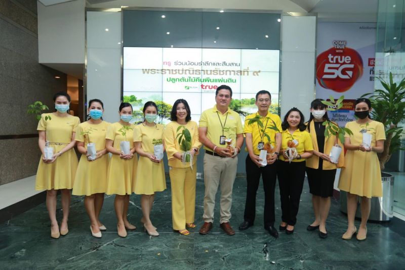 สืบสานพระราชปณิธาณรัชกาลที่ 9 ปลูกต้นไม้คืนแผ่นดิน