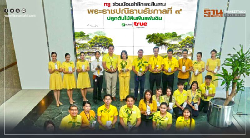 สืบสานพระราชปณิธาณรัชกาลที่ 9 ปลูกต้นไม้คืนแผ่นดิน สืบสานพระราชปณิธาณรัชกาลที่ 9 ปลูกต้นไม้คืนแผ่นดิน