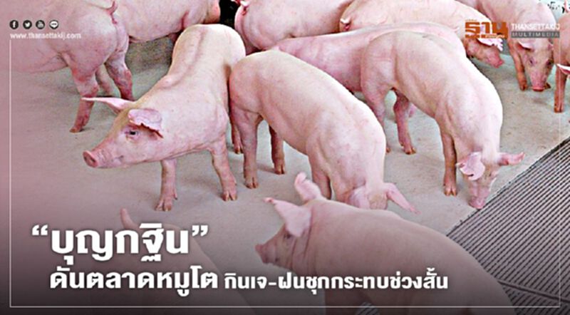 “บุญกฐิน” ดันตลาดหมูโต กินเจ-ฝนชุกกระทบช่วงสั้น “บุญกฐิน” ดันตลาดหมูโต กินเจ-ฝนชุกกระทบช่วงสั้น