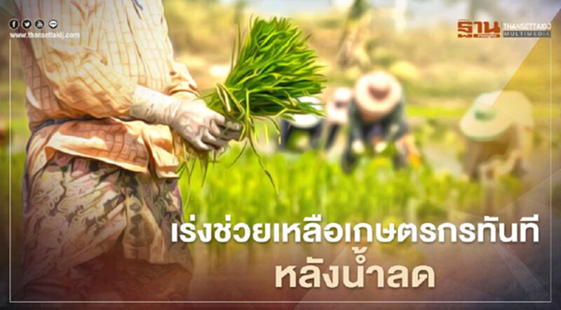 เปิดรายละเอียด กรมส่งเสริมเกษตร เยียวยาเกษตรกรหลังเกิดภัยพิบัติ เปิดรายละเอียด กรมส่งเสริมเกษตร เยียวยาเกษตรกรหลังเกิดภัยพิบัติ