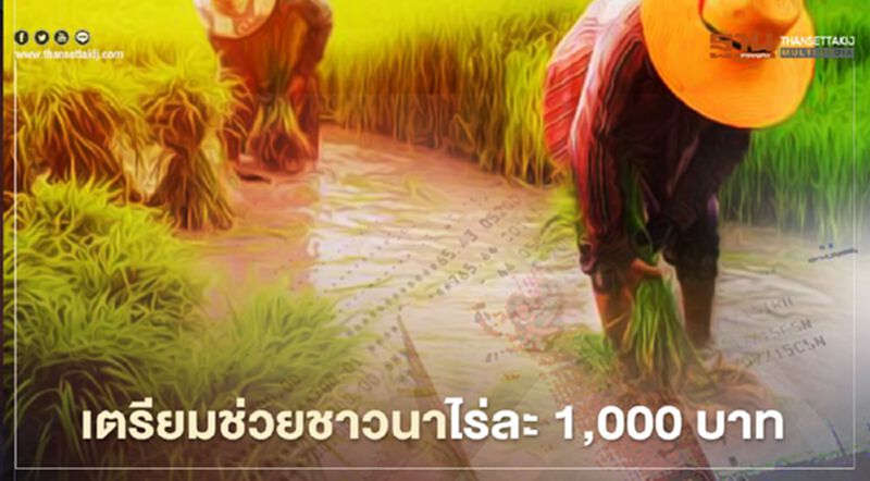 เช็กที่นี่ รัฐบาลฯเตรียมออกมาตรการช่วยชาวนาไร่ละ 1,000 บาท เช็กที่นี่ รัฐบาลฯเตรียมออกมาตรการช่วยชาวนาไร่ละ 1,000 บาท