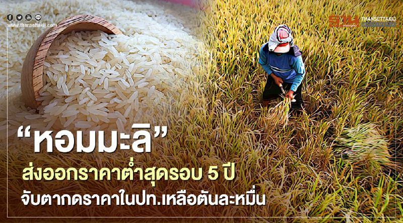 “หอมมะลิ”ส่งออกราคาต่ำสุดรอบ 5 ปี จับตากดราคาในปท.เหลือตันละหมื่น “หอมมะลิ”ส่งออกราคาต่ำสุดรอบ 5 ปี จับตากดราคาในปท.เหลือตันละหมื่น