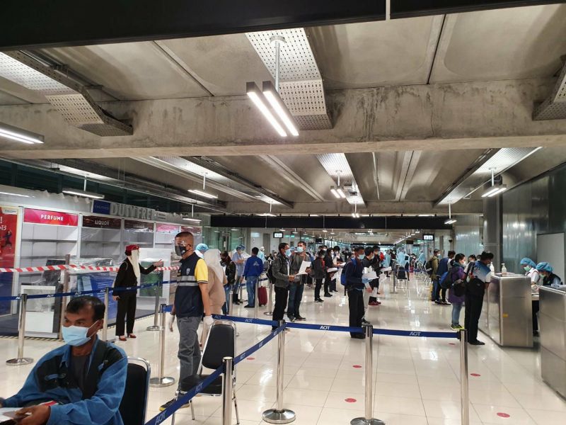 เก็บ"ผลไม้ป่าเมืองนอก"ปีนี้ทำเงินเฉียด620ล้าน