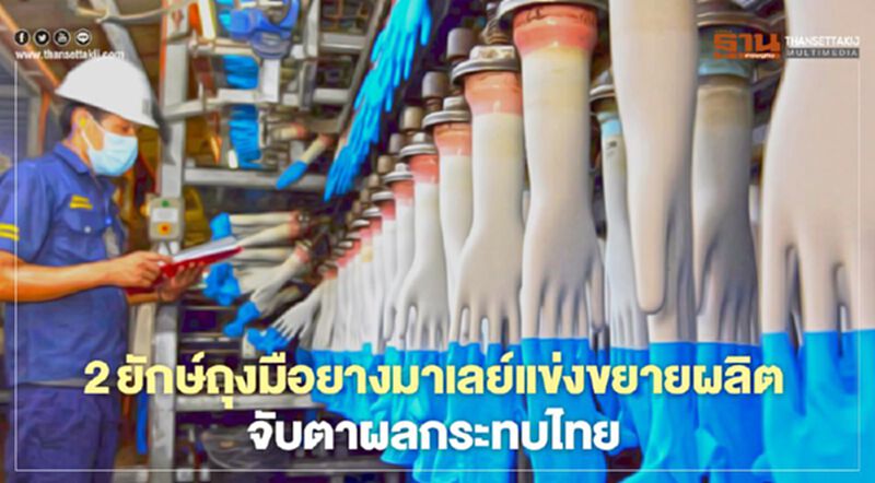 2 ยักษ์ถุงมือยางมาเลย์แข่งขยายผลิต จับตาผลกระทบไทย 2 ยักษ์ถุงมือยางมาเลย์แข่งขยายผลิต จับตาผลกระทบไทย
