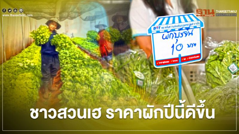 ชาวสวนเฮ ราคาผักปีนี้ดีขึ้น ชาวสวนเฮ ราคาผักปีนี้ดีขึ้น