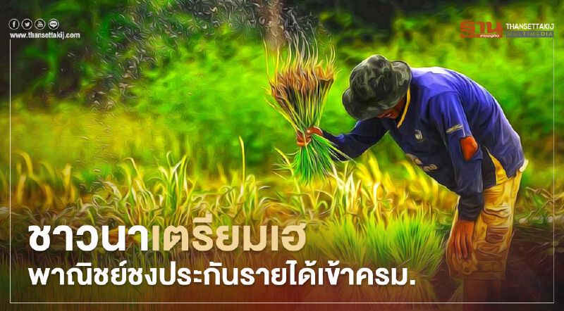 ชาวนาเตรียมเฮ พาณิชย์ชงประกันรายได้เข้าครม. ชาวนาเตรียมเฮ พาณิชย์ชงประกันรายได้เข้าครม.