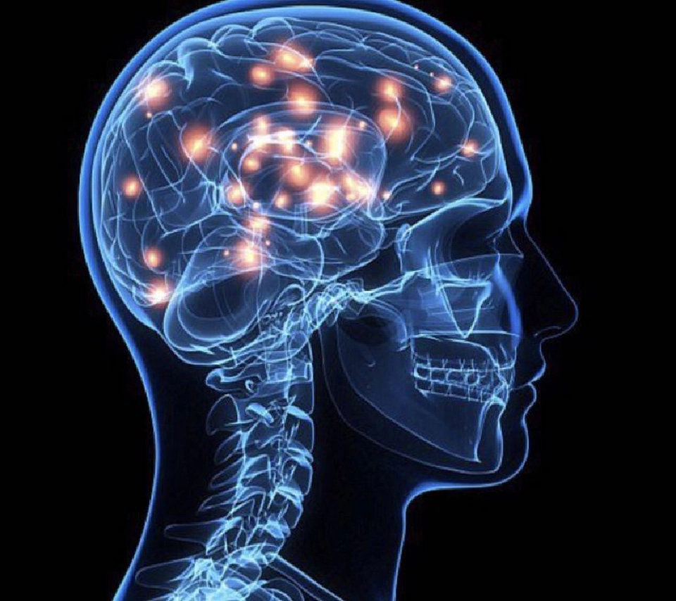 BINGO เด้งรับสังคมสูงวัย เปิดคอร์สพัฒนาสมอง    