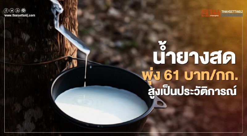 น้ำยางสด พุ่ง 61 บาท/กก. สูงเป็นประวัติการณ์