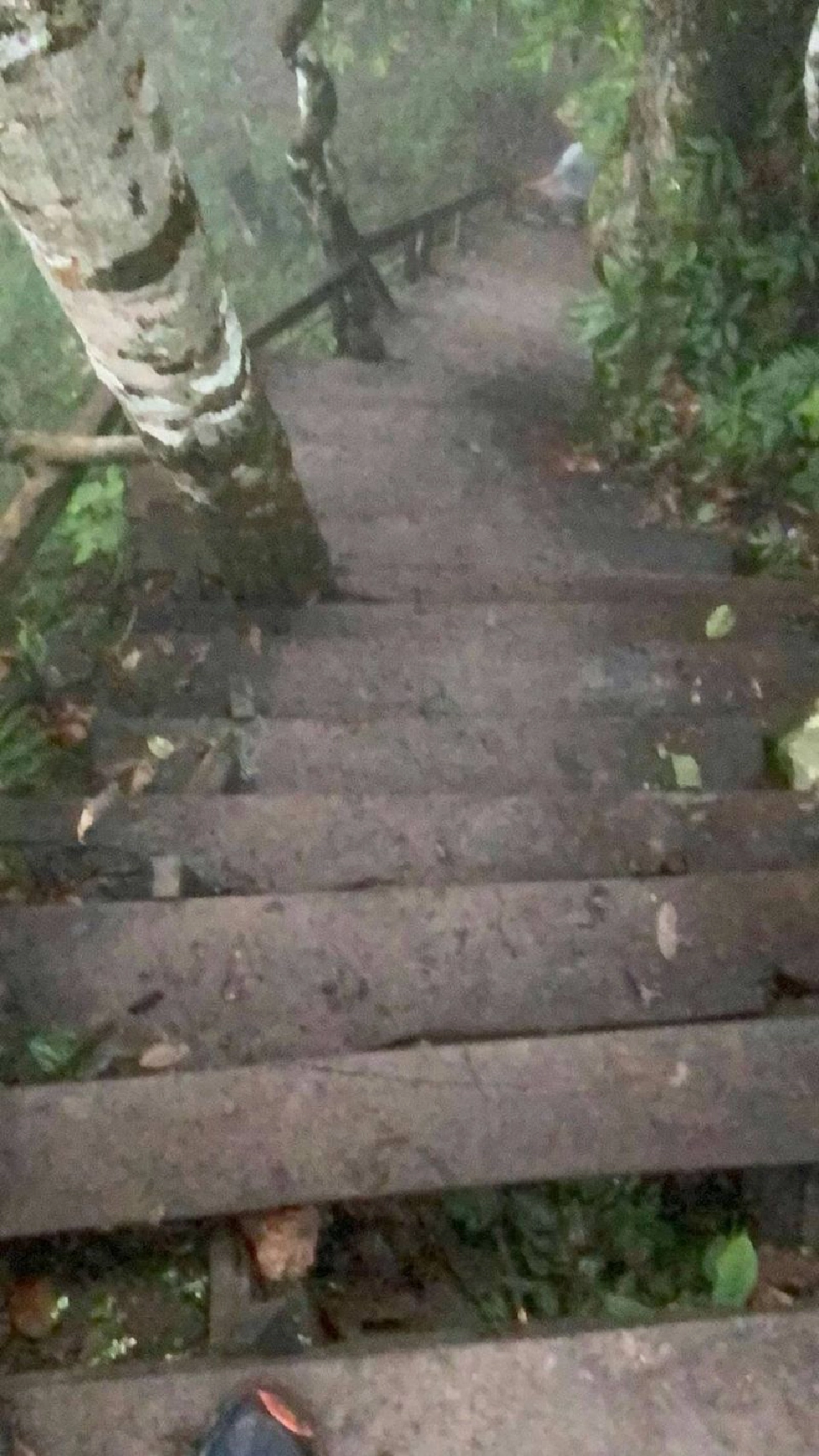 น้ำหนาวเปิดแล้วเส้นทางใหม่พิชิต"ภูกระดึง"