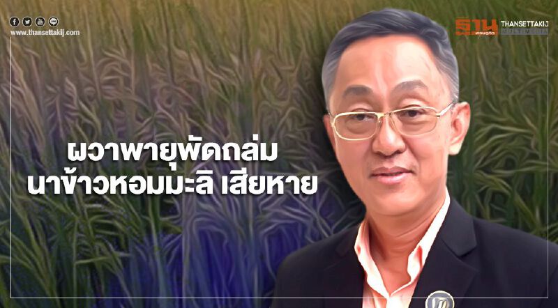 โรงสี อีสาน ผวาพายุพัดถล่มนาข้าวหอมมะลิ เสียหาย