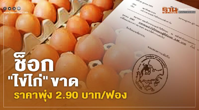 ช็อก "ไข่ไก่" ขาด ราคาพุ่ง 2.90 บาท/ฟอง