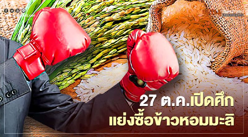 27 ต.ค. เปิดศึกแย่งซื้อข้าวหอมมะลิ 27 ต.ค. เปิดศึกแย่งซื้อข้าวหอมมะลิ