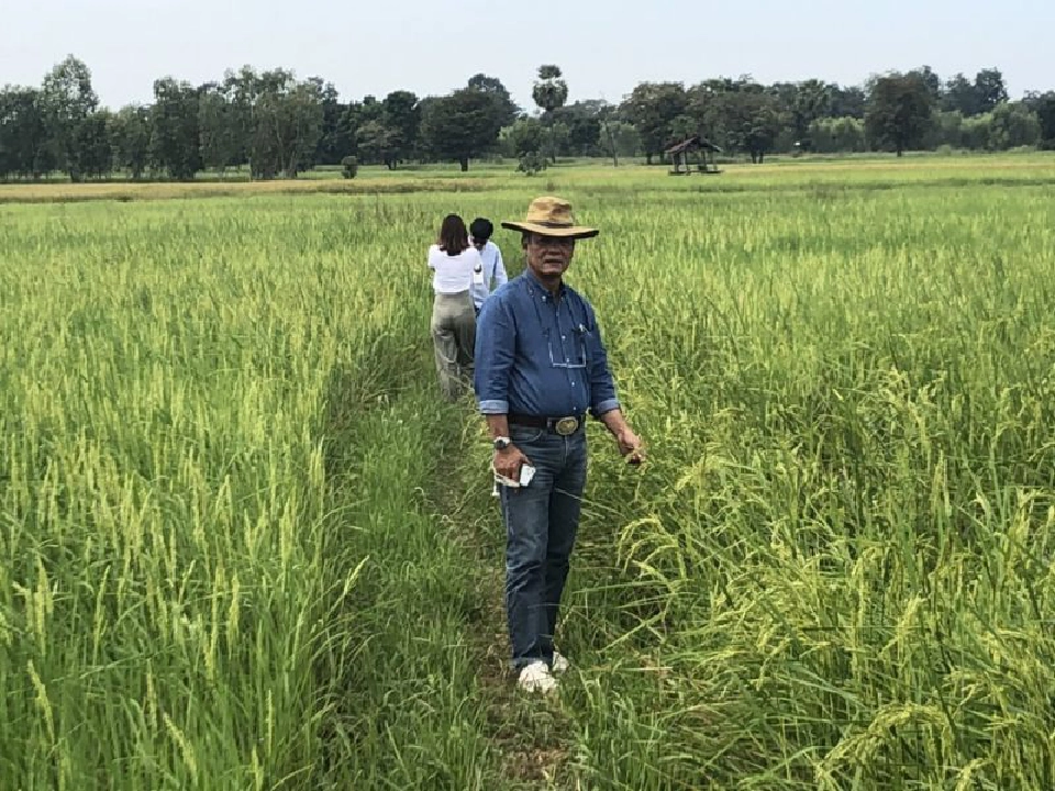 เกรียงศักดิ์ ตาปนานนท์