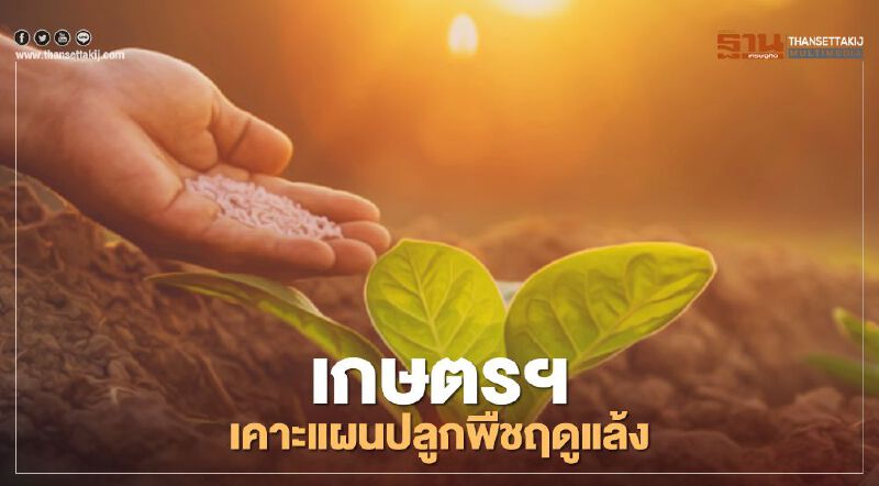 เกษตรฯ เคาะแผนปลูกพืชฤดูแล้ง ปี 2563/64