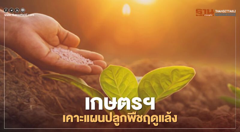 เกษตรฯ เคาะแผนปลูกพืชฤดูแล้ง ปี 2563/64 เกษตรฯ เคาะแผนปลูกพืชฤดูแล้ง ปี 2563/64
