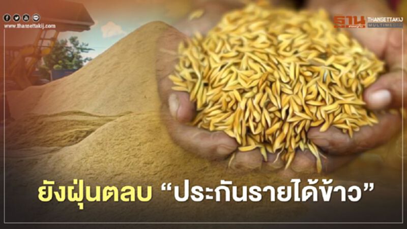ยังฝุ่นตลบ “ประกันรายได้ข้าว” ยังฝุ่นตลบ “ประกันรายได้ข้าว”