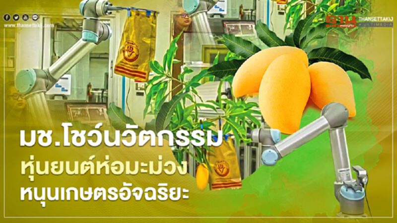 มช. โชว์นวัตกรรมหุ่นยนต์ห่อมะม่วงหนุนเกษตรอัจฉริยะ มช. โชว์นวัตกรรมหุ่นยนต์ห่อมะม่วงหนุนเกษตรอัจฉริยะ