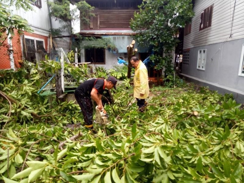 ประมวลภาพ "พายุโมลาเบ" ถล่มไทย จุดไหนรับความเสียหายบ้าง เช็กได้ทีนี่
