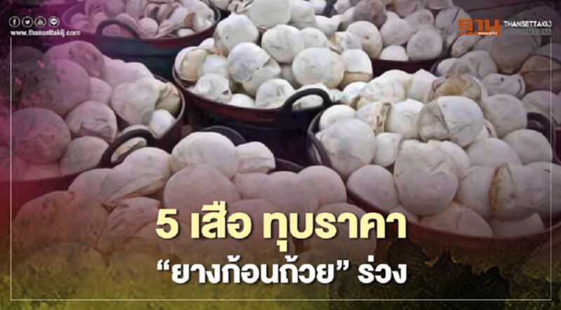 เปิดเล่ห์ 5 เสือ ทุบราคา “ยางก้อนถ้วย” ร่วง เปิดเล่ห์ 5 เสือ ทุบราคา “ยางก้อนถ้วย” ร่วง