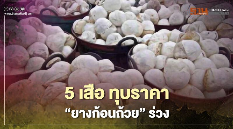 เปิดเล่ห์ 5 เสือ ทุบราคา “ยางก้อนถ้วย” ร่วง