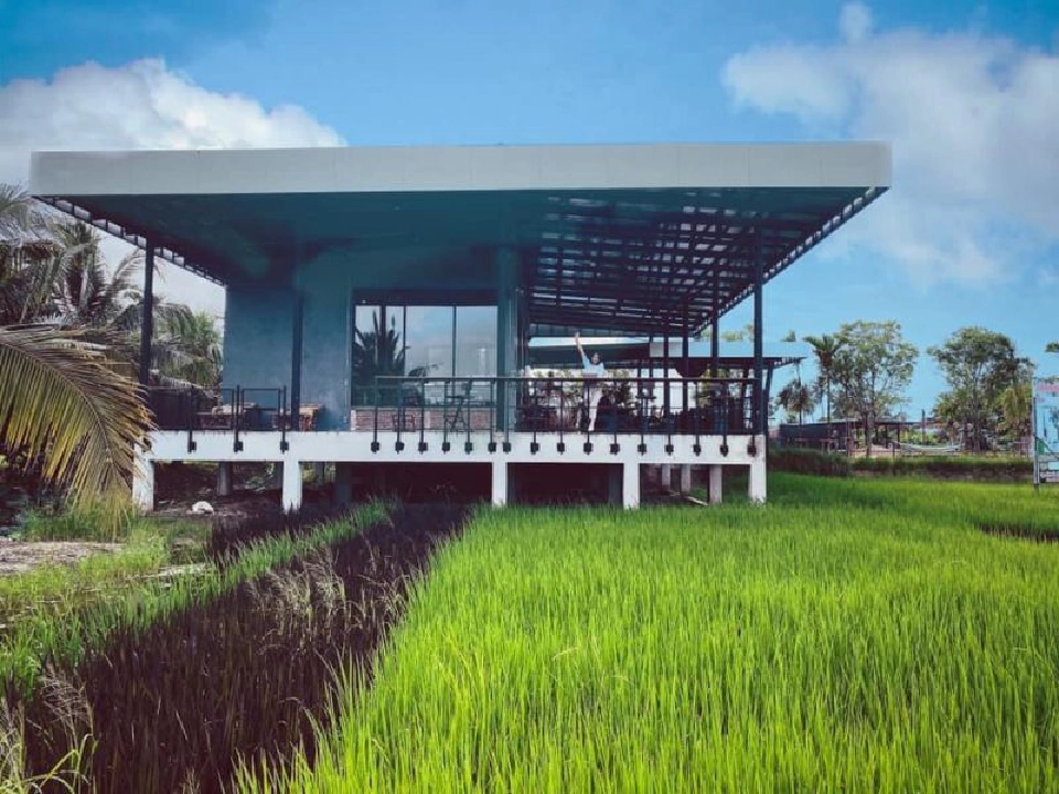 อาชีพใหม่ หนีวัฏจัร “ข้าว-ปาล์ม” ราคาตก