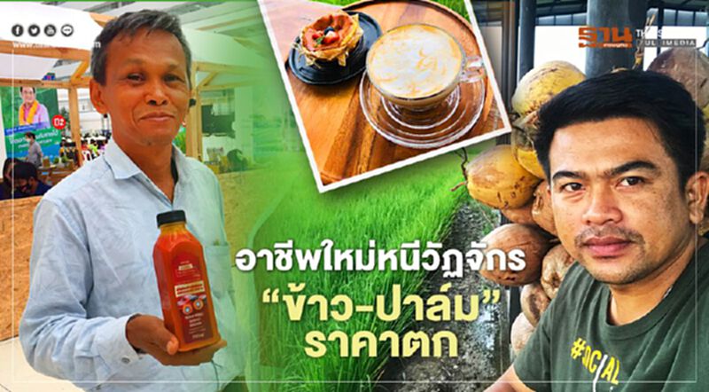 อาชีพใหม่ หนีวัฏจัร “ข้าว-ปาล์ม” ราคาตก อาชีพใหม่ หนีวัฏจัร “ข้าว-ปาล์ม” ราคาตก